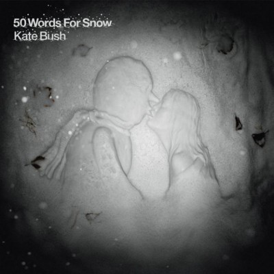 50-words-for-snow