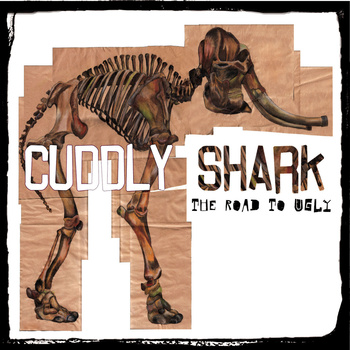 cuddly-shark